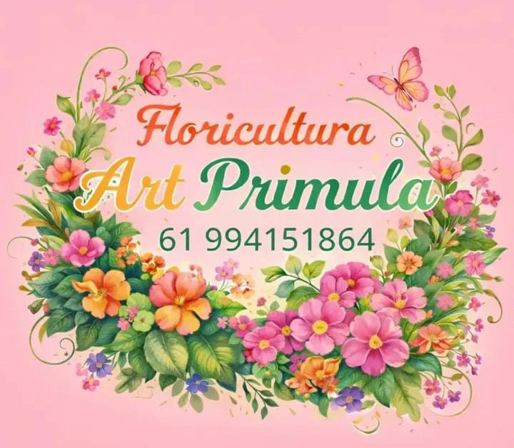 Floricultura Art Primula